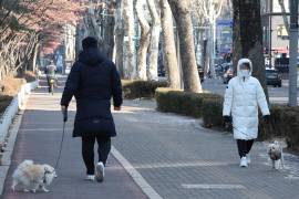 Dos personas pasean con sus perros en un parque del lago en Seúl, Corea del Sur. EFE/EPA/YONHAP SOUTH KOREA