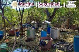 Autoridades incautaron 150 litros de precursores químicos líquidos y 92 kilos de precursores químicos sólidos.