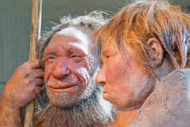 Esta fotografía de archivo del viernes 20 de marzo de 2009 muestra reconstrucciones de un hombre neandertal, a la izquierda, y una mujer en el museo neandertal de Mettmann, Alemania.