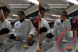 El ‘fantasma del IPN’: Usuarias de TikTok captan en video supuesto fenómeno paranormal en la ESIQIE de CDMX