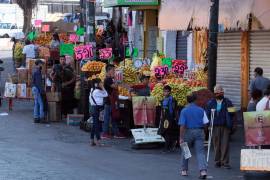 Entre los bienes y servicios cuyos precios tuvieron más incidencia a la baja en el resultado de la inflación fueron la papaya, tomate verde, chile serrano, zanahoria, cebolla y los nopales. FOTO: