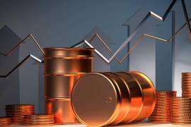 Asegura que la economía está bastante ‘petrolizada’ porque el 60% de las mercancías que se distribuyen en el país, es a través del autotransporte.