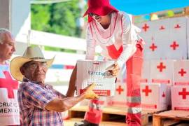 En México, los aportes de la Cruz Roja se complementan con el Plan DN-III-E de la Secretaría de la Defensa Nacional.