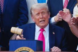 El nuevo gravamen de Donald Trump recaudaría casi 10 mil millones de dólares del presente hasta 2035, proyecta el Comité Conjunto sobre Tributación del Congreso. FOTO: