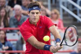 Del Potro avanza en Cincinnati elimina a Berdych