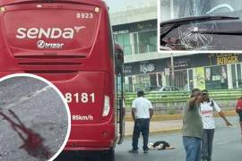 El accidente tuvo lugar en el mes de mayo sobre el periférico Luis Echeverría, a la altura de la curva de la colonia Valle Dorado.