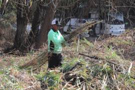 Cuadrillas municipales realizaron labores de limpieza, retiro de maleza y recolección de basura en un tramo del arroyo Los Ojitos, al norte de Saltillo.