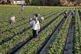 Según FinCEN, los inmigrantes indocumentados pueden obtener ilícitamente números de Seguro Social y otra información personal identificable de ciudadanos estadounidenses y residentes permanentes legales para obtener empleo y salarios ilegales.