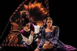 ¿Pagarías más de mil pesos por ver a la Compañía Nacional de Teatro en Saltillo?