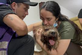 Camila Sepúlveda abraza a su perro Antonio, rescatado con vida a más de nueve metros de profundidad entre los escombros de un edificio de Torres del Limonar en Cali, Colombia.
