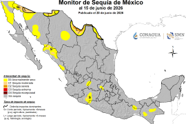 Las lluvias registradas durante las últimas semanas mejoraron las condiciones de sequía en la mayor parte del territorio coahuilense.
