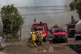 Los incendios forestales en Tamaulipas han afectado a 12 municipios, principalmente en la zona cañera, donde el gobierno estatal ha desplegado un amplio operativo de atención.