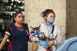 El organismo internacional recomendó fortalecer la vigilancia epidemiológica integrada de influenza, VSR, SARS-CoV-2 y otros virus respiratorios.