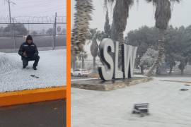 Reportan caída de nieve en Saltillo y Ramos Arizpe.