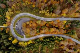 Árboles en tonos otoñales rodean una carretera en la región de Taunus, cerca de Fráncfort. AP/Michael Probst