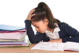 Aproximadamente el 95 por ciento de los alumnos de primaria, de quinto y sexto grado de primaria no saben resolver problemas matemáticos con decimales.