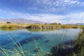 En el Valle de Calaveras la clausura se derivó de la presunta contaminación de un pozo de agua, ya que, al realizar revisiones, se detectó la presencia de aceite.