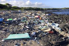 EPA declara 2 playas de Hawai como no aptas por basura
