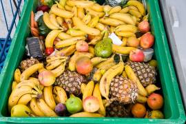 40 % de los alimentos cultivados son desperdiciados