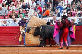 El toro “Carloto” de 522 Kg derriba al picador en la ultima Corrida de Feria de Aniversario en la Plaza de Toros en Ciudad de México. EFE/Mario Guzmán