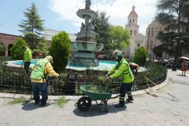 Cuadrillas municipales realizaron trabajos de limpieza y mantenimiento de áreas verdes en la Plaza de Armas, de Saltillo.
