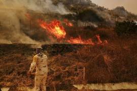Ejército activa Plan DN-III por motivo de incendios forestales en Baja California