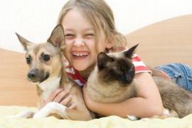 Saltillo: saludables, niños con mascotas