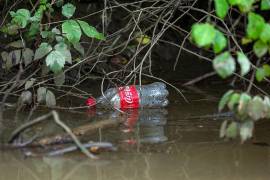 Greenpeace señala que Coca-Cola, Pepsi, Unilever y Nestlé, son las empresas que más contaminación con plásticos causan en el mundo. Greenpeace/Tim Aubry