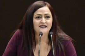 La legisladora chihuahuense renunció la semana pasada a la bancada morenista en el Palacio de San Lázaro por el freno a su iniciativa