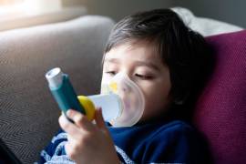 El asma es una enfermedad del aparato respiratorio que se caracteriza por una respiración anhelosa y difícil, tos, sensación de ahogo y ruidos sibilantes en el pecho.