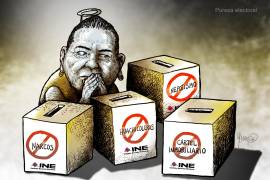 INE: Pureza electoral