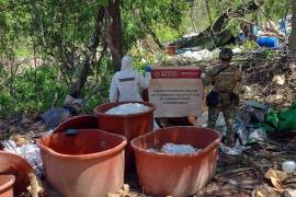 El fuerte incremento de las incautaciones de cocaína en Europa estaría relacionado con la creciente presencia de redes criminales.