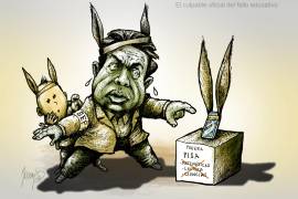 El culpable oficial del fallo educativo