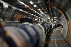 Una comadreja paraliza el acelerador de partículas del CERN