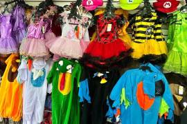 Tutús, alas de mariposa, orejas de animales, máscaras y mamelucos son las opciones más solicitadas durante la temporada.