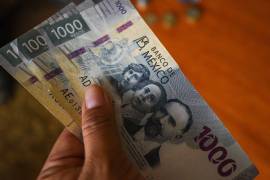 Ante estados líderes en registros como la Ciudad de México y Nuevo León, especialistas urgen a implementar una reforma de pensiones que ponga un tope de entre 70% y 80% a este modelo.