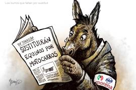 Los burros que faltan por sustituir