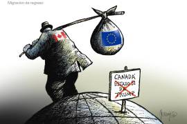 Migración de regreso