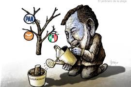 Noroña: El jardinero de la plaga