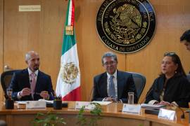 El coordinador morenista detalló que su propuesta implicará modificaciones al Artículo 41 constitucional