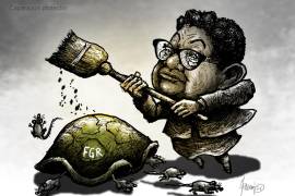 FGR: Caparazón protector