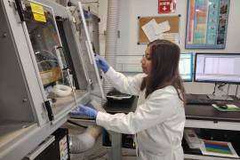 Los primeros resultados del estudio técnico podrían presentarse en 2026, tras concluir la recopilación de datos y comenzar el trabajo de campo