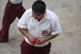 Apuntan que el problema no se limita a los países de ingresos altos: incluso en naciones de ingresos bajos y medios, la obesidad infantil está en alza.