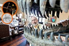 Fósiles, meteoritos y la espada de Hernán Cortés; la colección que Mauricio Fernández dejó en ‘La Milarca’
