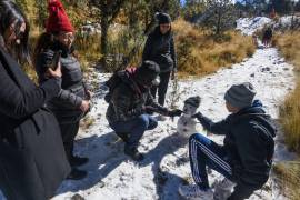 Visitantes arribaron al Volcán Xinantécatl después de la primera nevada que se registrará este domingo en plena Navidad, los turistas disfrutaron de la nieve en el Parque de los Venados, construyeron muñecos de nieve y se tomaban la foto del recuerdo.