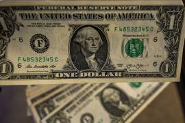 En opinión de Janak Raj, la cuota del dólar estadounidense en las reservas internacionales logró alcanzar su máximo en 2001, desde entonces ha ido disminuyendo.