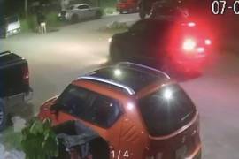 Asociaciones protectoras exigen justicia y mayor vigilancia para prevenir actos de maltrato animal.