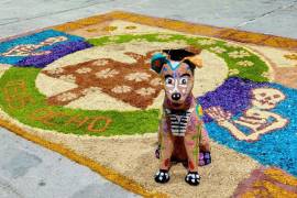 En la Secundaria General No. 8 Adolfo López Mateos, la comunidad educativa dedicó un altar a su perrito Cejas, incluyendo flores, comida y un alebrije.