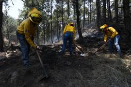 La Comisión Nacional Forestal informó este lunes que actualmente 69 incendios forestales permanecen activos en 18 estados de México.