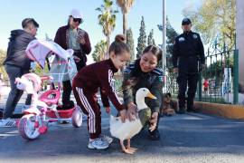 Durante la Ruta Recreativa se ofrecieron servicios gratuitos de orientación jurídica, atención psicológica y actividades de concientización, además de atención en salud y para mascotas, dirigidos a las familias saltillenses.